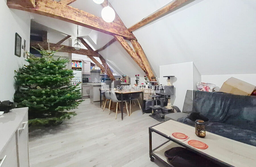 TYPE 2 SUR LA GRAND PLACE + PARKING