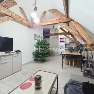 TYPE 2 SUR LA GRAND PLACE + PARKING