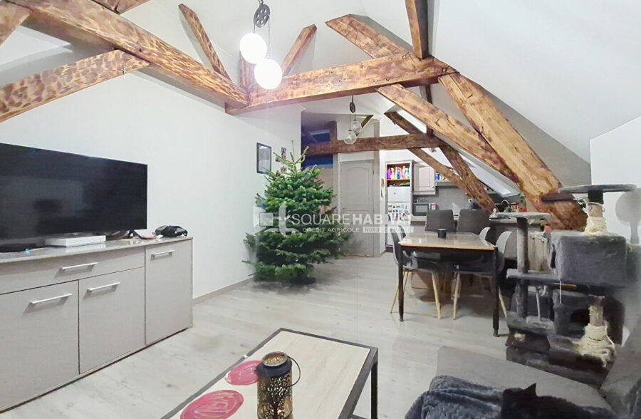 TYPE 2 SUR LA GRAND PLACE + PARKING