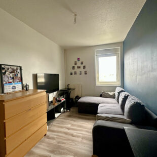 Appartement Villeneuve D Ascq 4 pièce(s)