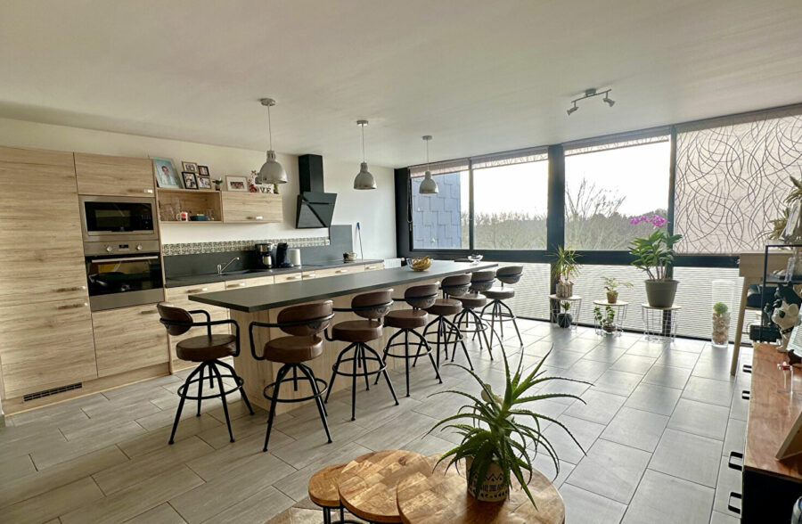 Appartement Villeneuve D Ascq 4 pièce(s)