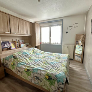 Appartement Villeneuve D Ascq 4 pièce(s)