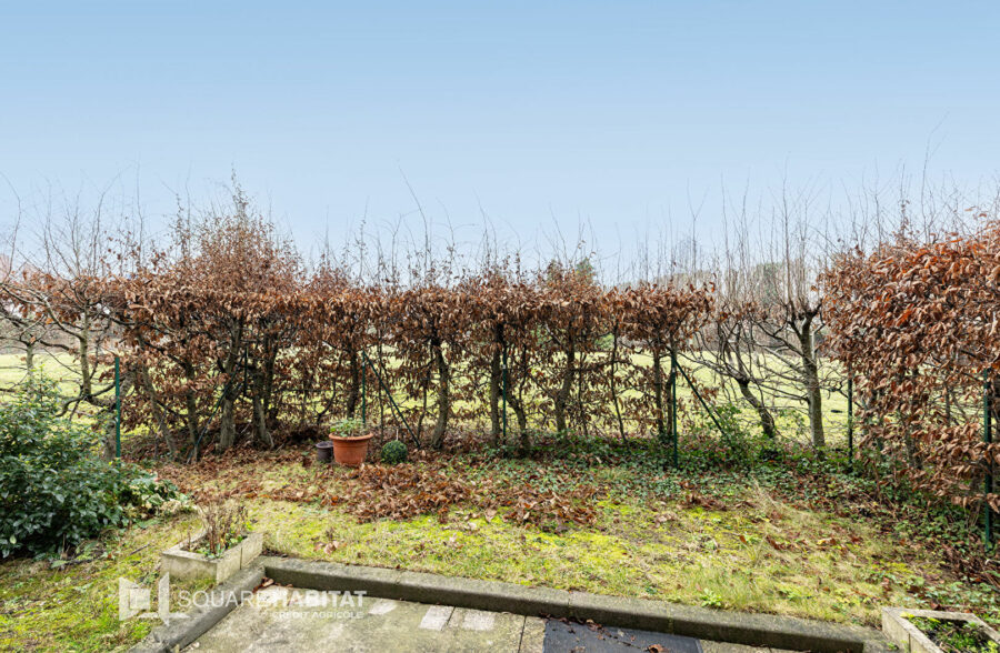 Appartement Wasquehal 3 pièce(s) vendu loué