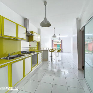 MAISON PROXIMITE TRAMWAY ET CANAL